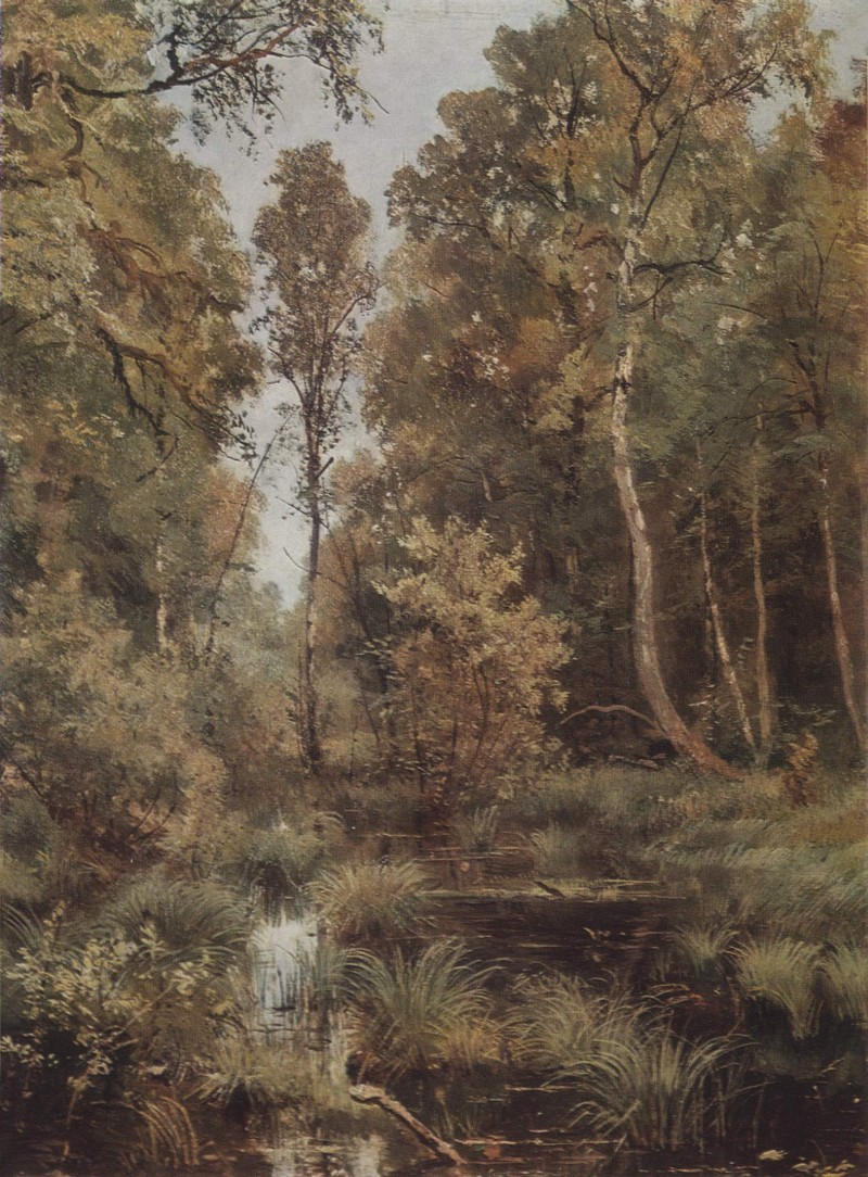 Verwachsener Teich am Waldrand