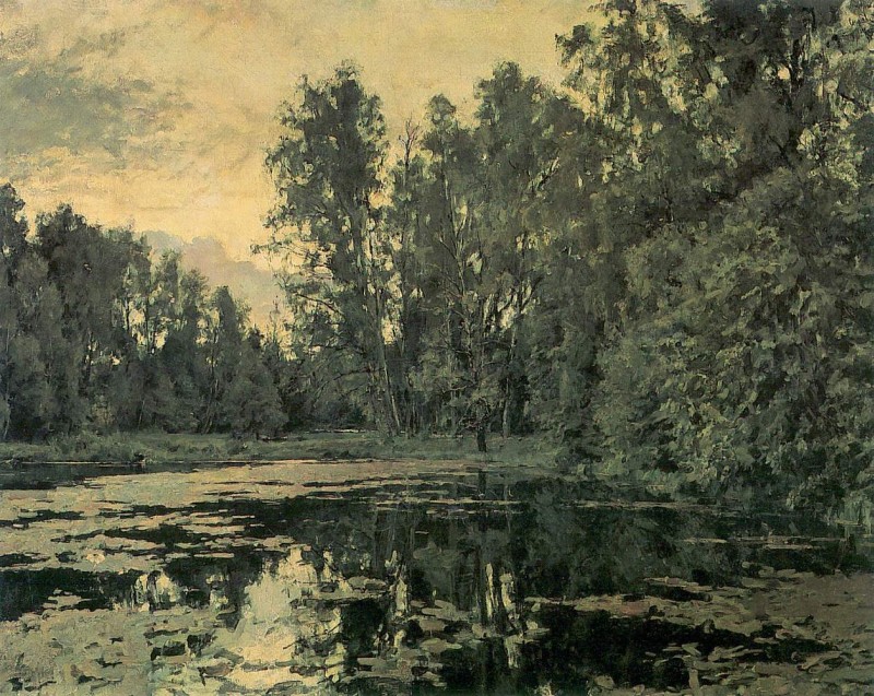 Verwachsener Teich