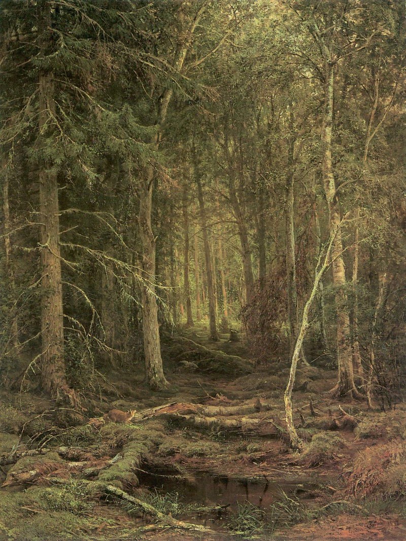 Waldesdickicht