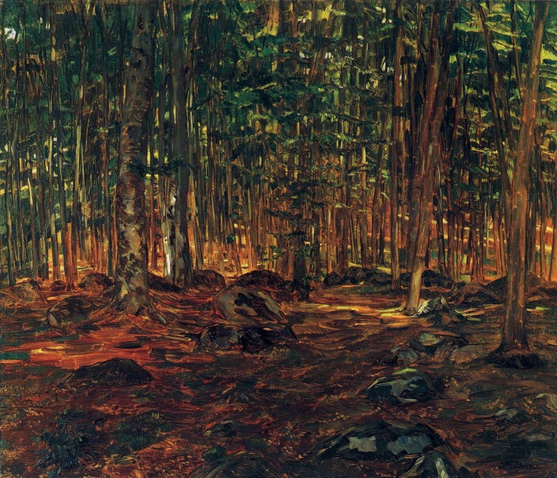 Waldinneres