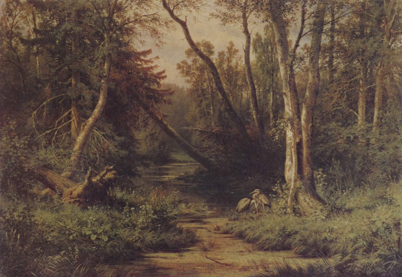 Waldlandschaft mit Reiher