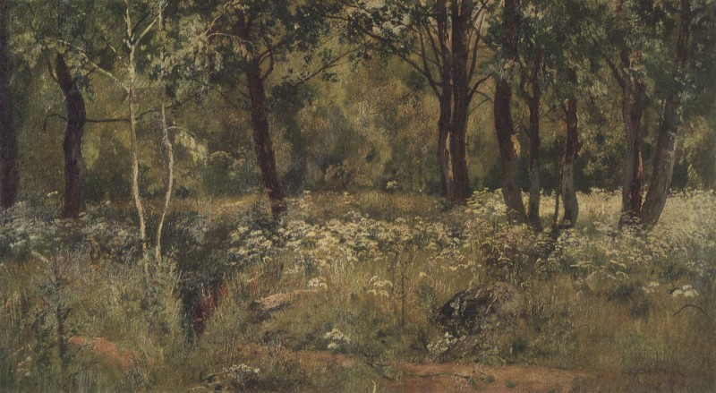 Waldwiese