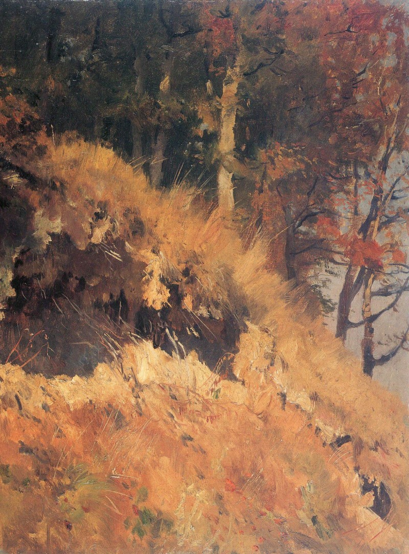 Wegboeschung im Muehltal