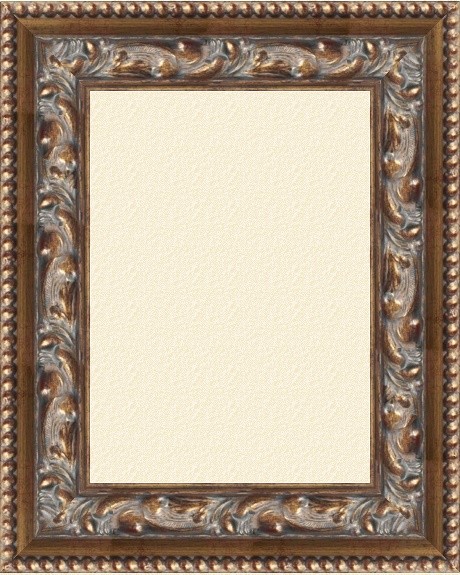 Xeno braun gold 8.5 cm