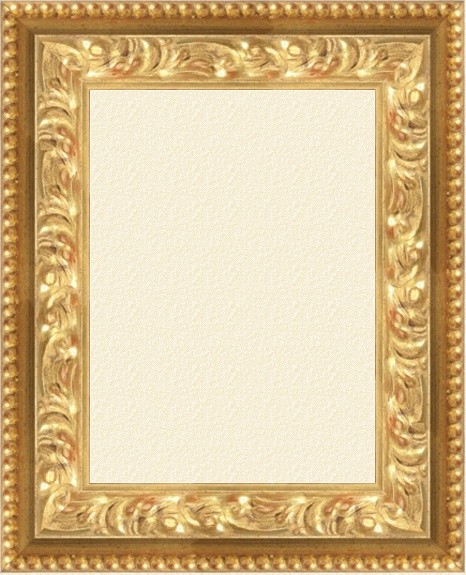 Xeno gold 8.5 cm