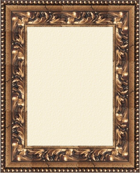 Xeno gold schwarz 8.5 cm