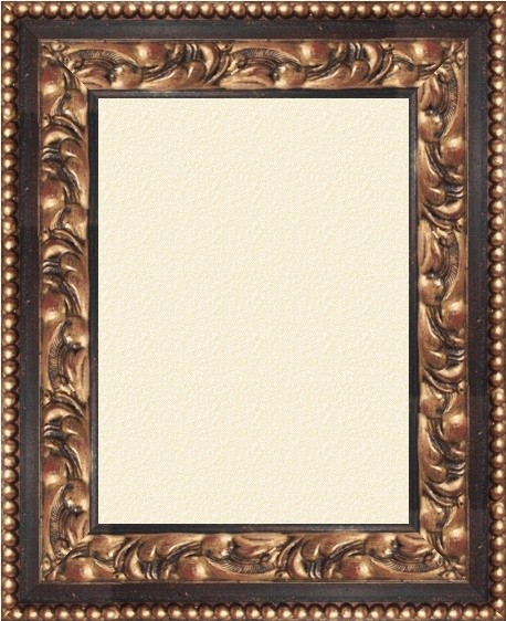 Xeno schwarz 8.5 cm