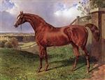 Bild:Mr. C. Wilson's Chestnut Stallion 'Comus' Standing in a Landscape