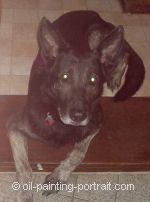 Tiergem&auml;lde "Hund" Vorlage