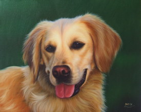 Tiergem&auml;lde Golden Retriever