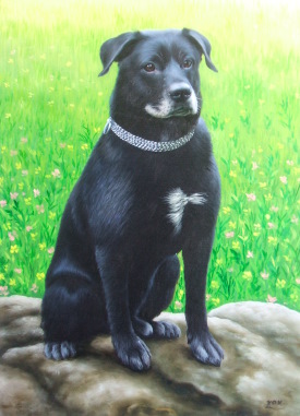 Tiergem&auml;lde Hund