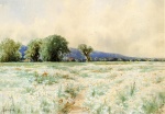 Alfred Thompson Bricher  - Bilder Gemälde - The Daisy Field