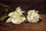Edouard Manet  - Bilder Gemälde - Branch of White Peonies with Pruning Shears