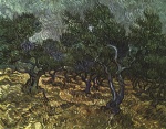 Vincent Willem van Gogh  - Bilder Gemälde - The Olive Grove