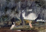 Winslow Homer - Bilder Gemälde - At Tampa