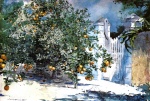 Winslow Homer  - Bilder Gemälde - Orange Tree, Nassau