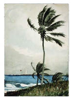 Winslow Homer  - Bilder Gemälde - Palm Tree, Nassau