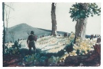 Winslow Homer  - Bilder Gemälde - The Pioneer