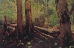 Winslow Homer  - Bilder Gemälde - Woodchopper in the Adirondacks