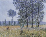 Claude Monet  - paintings - Pappeln im Sonnenlicht