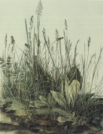 Albrecht Dürer - Bilder Gemälde - Das große Rasenstück