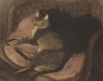 Bild:Katzen auf dem Sofa