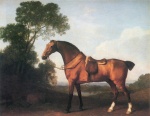 George Stubbs - Bilder Gemälde - Ein gesattelter Brauner