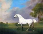 George Stubbs - Bilder Gemälde - Ein graues Pferd