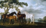 George Stubbs  - Bilder Gemälde - Stuten und Fohlen in einer Flusslandschaft