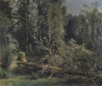 Ivan Ivanovitch Chichkine - Peintures - Arbre abattu