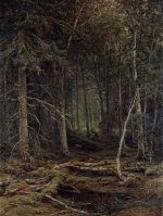 Iwan Iwanowitsch Schischkin  - Bilder Gemälde - Hinterwälder
