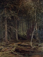 Iwan Iwanowitsch Schischkin  - Peintures - Sous-bois