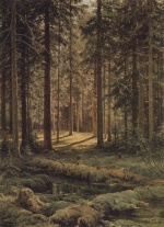 Iwan Iwanowitsch Schischkin  - Bilder Gemälde - Kiefernwald