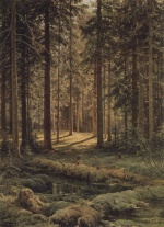 Iwan Iwanowitsch Schischkin  - Peintures - Forêt de pins