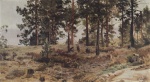 Ivan Ivanovich Shishkin  - paintings - Sanddünen