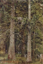 Ivan Ivanovitch Chichkine  - Peintures - Forêt de sapins