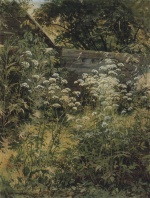 Iwan Iwanowitsch Schischkin  - paintings - Verwachsener Garten