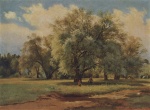 Iwan Iwanowitsch Schischkin  - paintings - Weiden von der Sonne beschienen