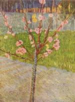Vincent Willem van Gogh - Bilder Gemälde - Blühender Pfirsischbaum