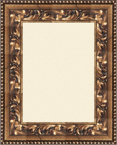Xeno gold-schwarz 8,5 cm