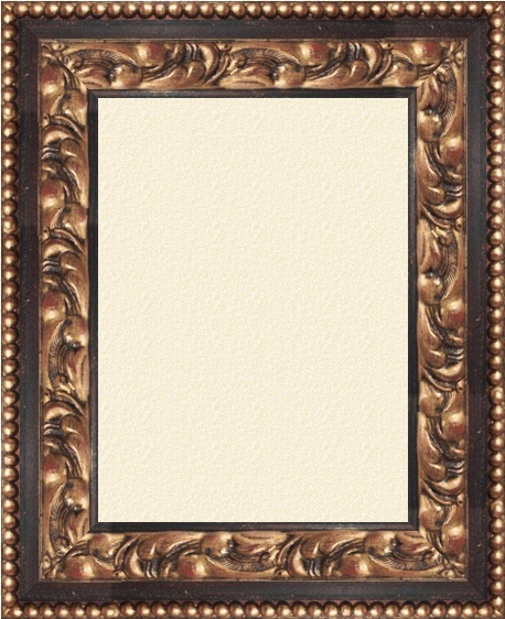 Xeno schwarz 8,5 cm