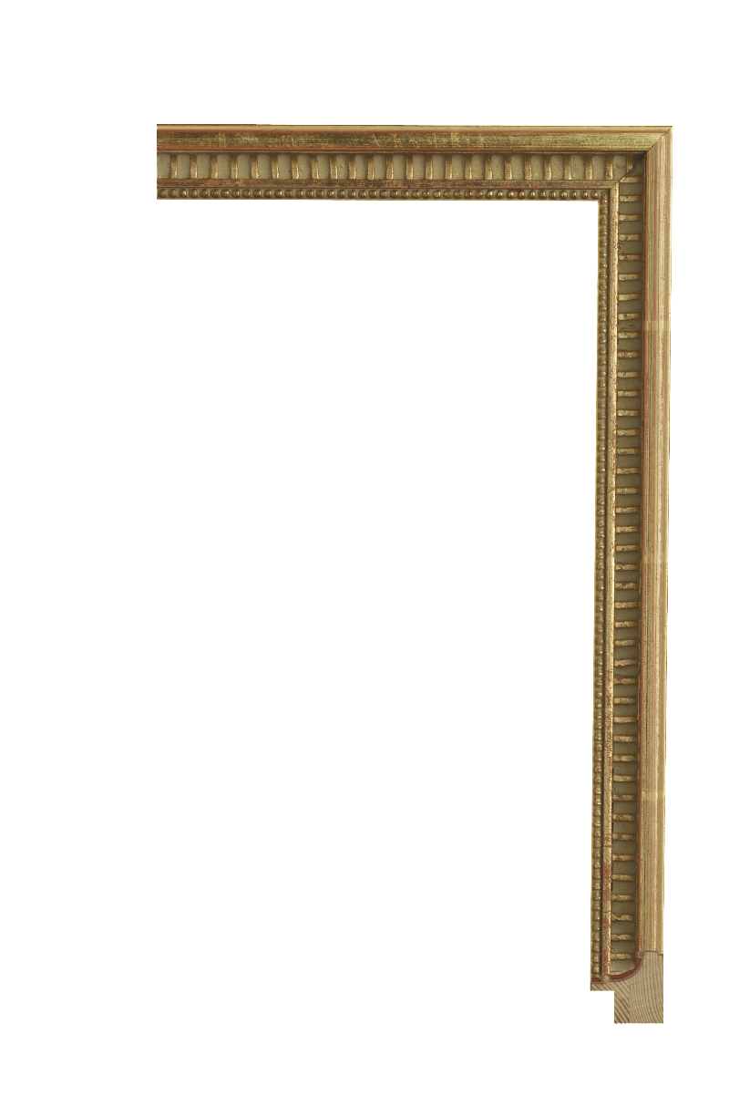Senelar gold - 2,7 cm