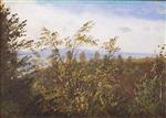 Carl Gustav Carus  - paintings - Bäume im Frühling