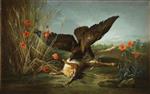 Jean Baptiste Oudry - Bilder Gemälde - A Buzzard Overturning a Hare, or The Hawk and the Hare
