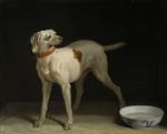 Jean Baptiste Oudry - Bilder Gemälde - A Dog