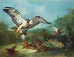 Bild:Hawk Attacking Partridges and a Rabbi
