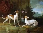 Bild:Misse and Turlu, two greyhounds of Louis XV