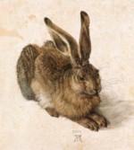 Bild:Hase