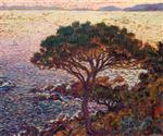 Theo van Rysselberghe - Bilder Gemälde - Cap Bénat, Pine on the Coast