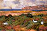 Theo van Rysselberghe  - Bilder Gemälde - Le Lavandou